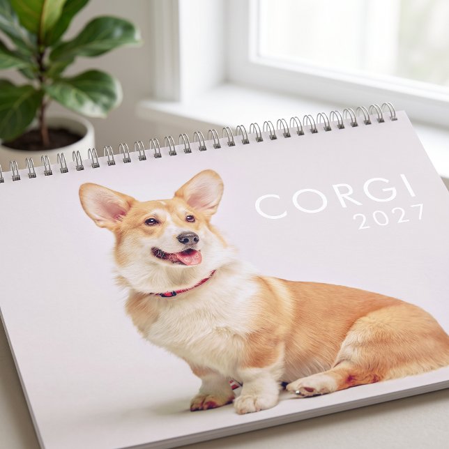 Calendrier Photos de chiens Corgi drôles et mignons modernes (Créateur téléchargé)