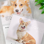 Calendrier Photos de Chiens de Corgi Funny mignons<br><div class="desc">Design est composé de photos de chiens Corgi mignons</div>