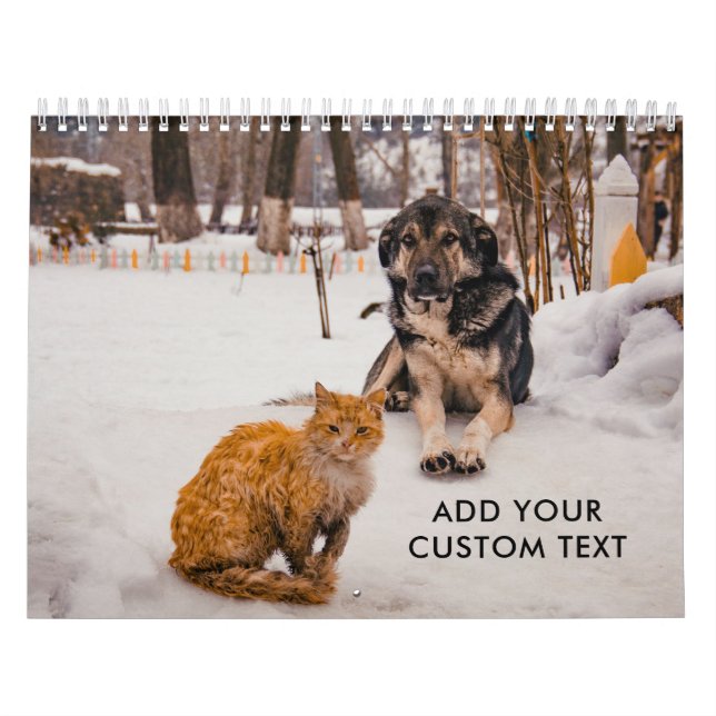 Calendrier Photos de chiens et de chats drôles et mignons per (Protection)