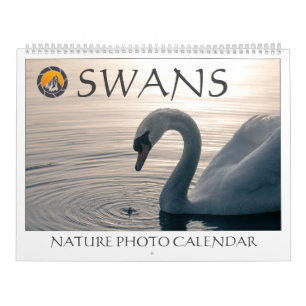 Calendrier Photos de cygnes dans la nature 2027