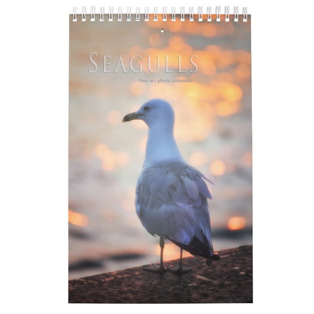 Calendrier Photos de Seaguls et de Beach Bird Paysage (Protection)