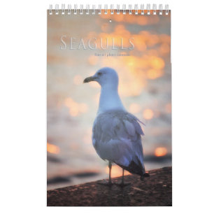 Calendrier Photos de Seaguls et de Beach Bird Paysage