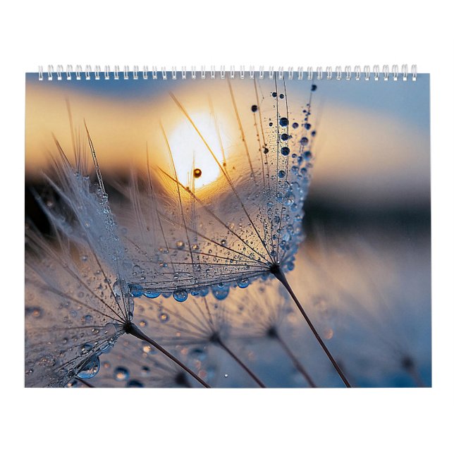 Calendrier Photos macro de la nature (Protection)