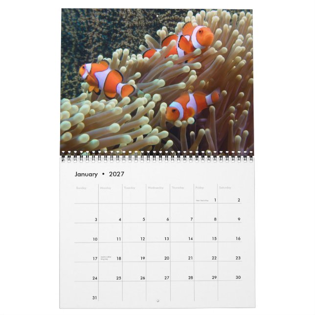 Calendrier Photos sous-marines 2015 (Jan 2027)
