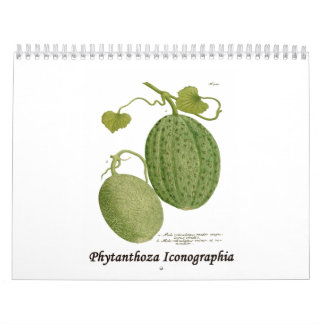Calendrier Phytanthoza Iconographia