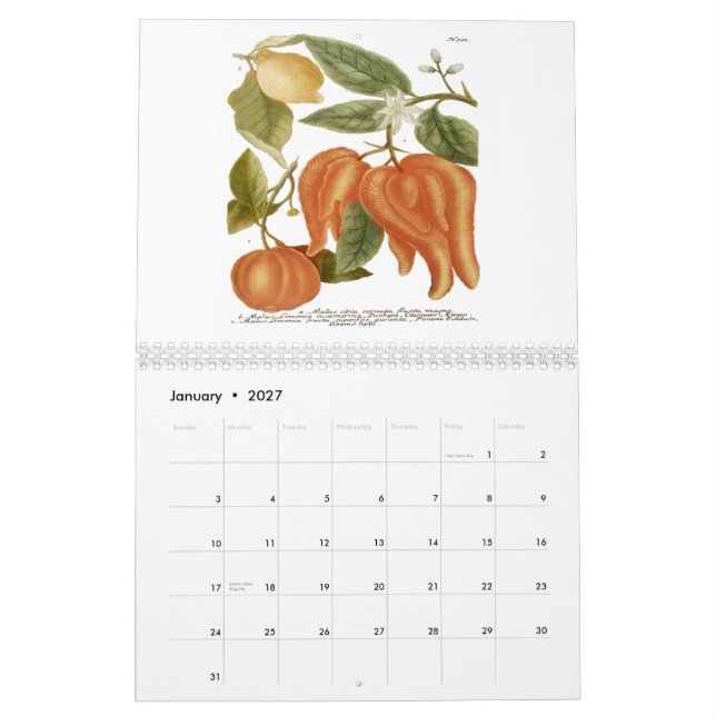 Calendrier Phytanthoza Iconographia (Jan 2027)