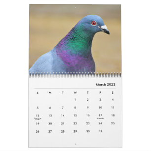 Calendrier Pigeon Doves Bird Watchers Photographie 2025