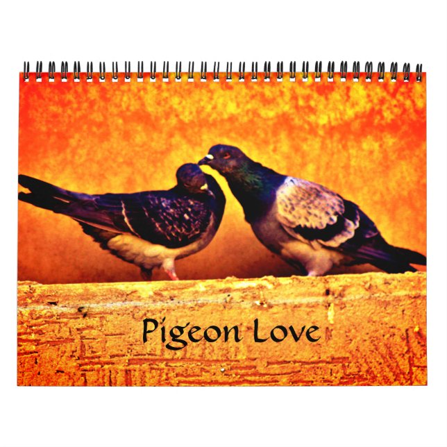 Calendrier Pigeon Love (Protection)
