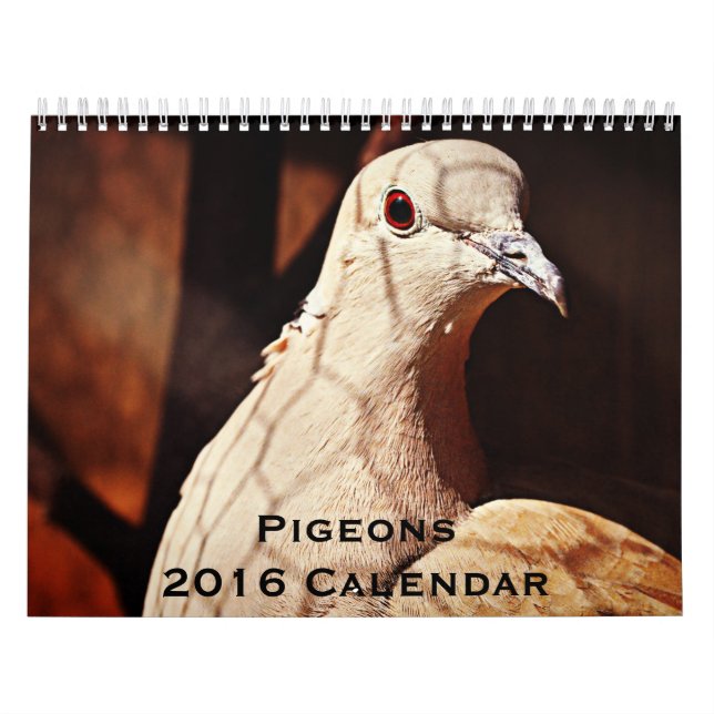 Calendrier Pigeons 2016 (Protection)