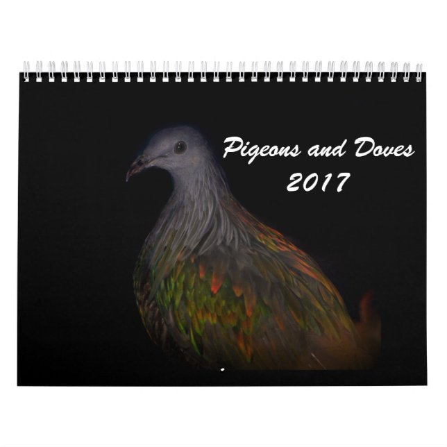 Calendrier Pigeons et colombes 2017 (Protection)