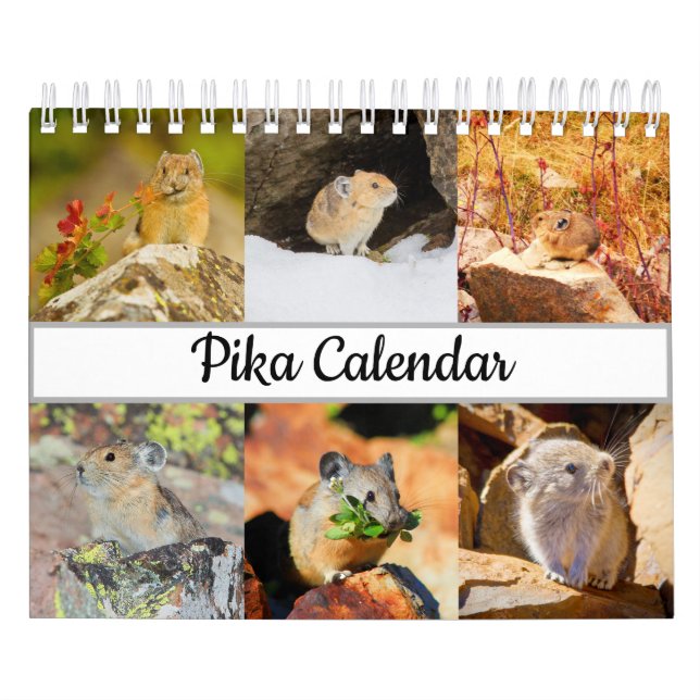 Calendrier Pika (Protection)