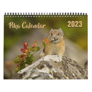 Calendrier PIka 2023