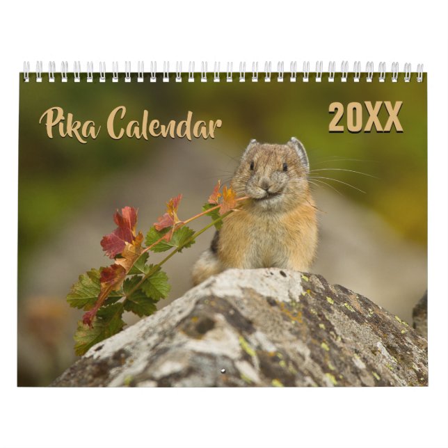 Calendrier PIka 2026 (Protection)