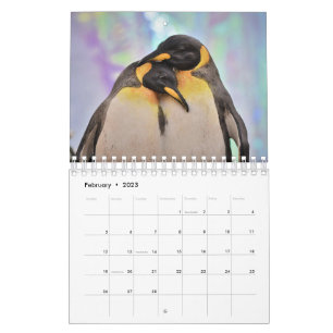 Calendrier Pingouin
