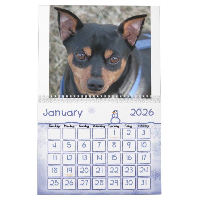 Calendrier Pinschers miniatures ! (Jan 2026)