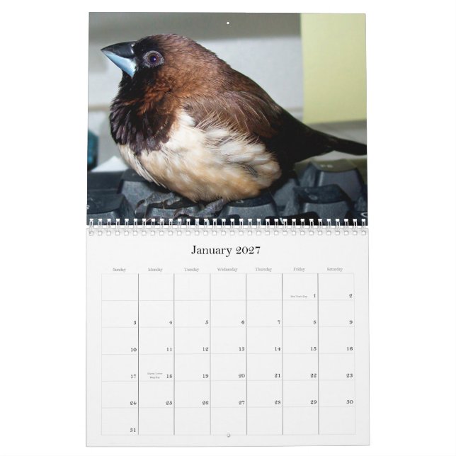 Calendrier Pipi le pinson adorable (Jan 2027)