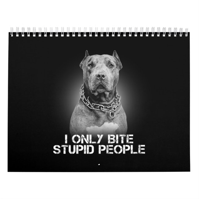 Calendrier Pitbull Dog (Protection)