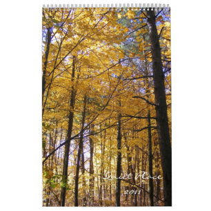 Calendrier Place tranquille 2011
