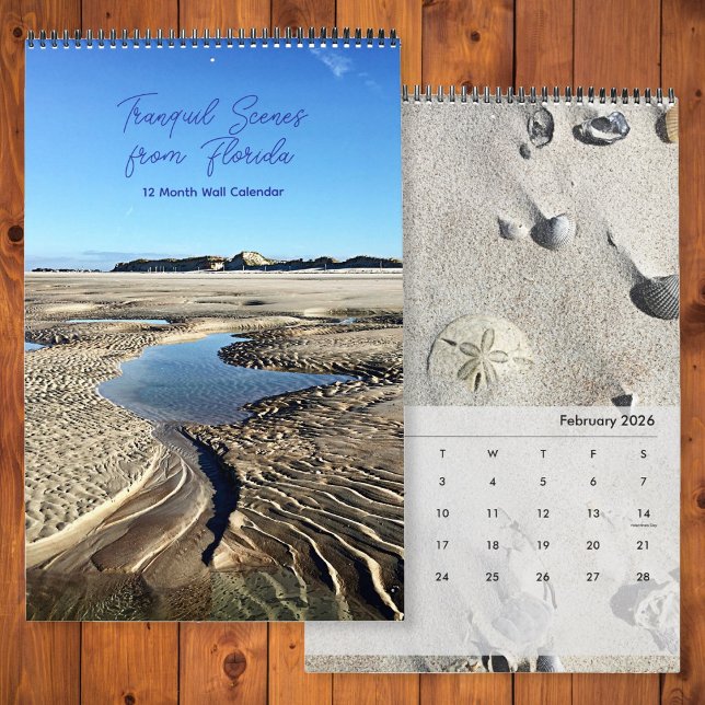 Calendrier Plages de la côte est de Floride, nature des eaux  (Créateur téléchargé)