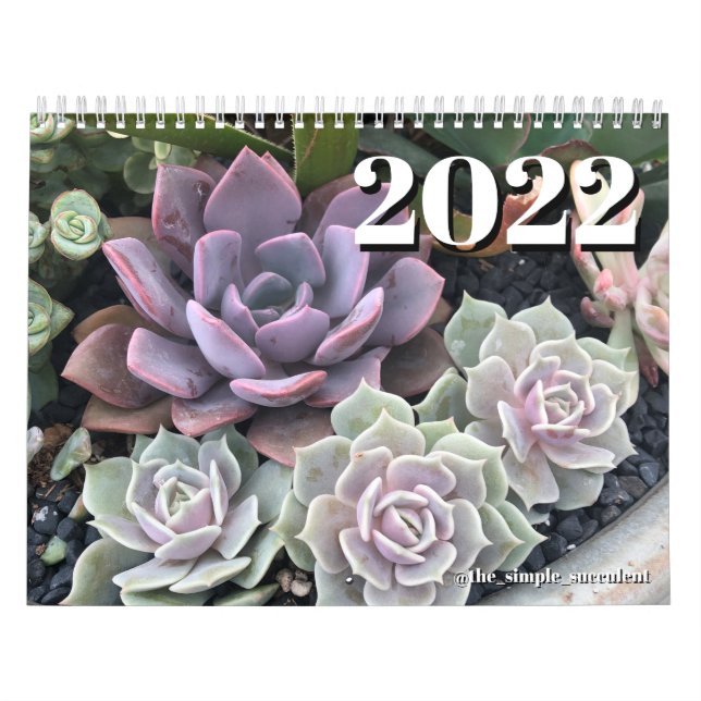 Calendrier Plante 2022 Colorful Succulent (Protection)
