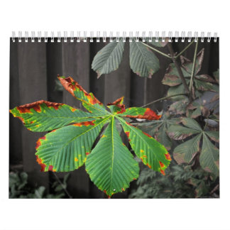 Calendrier Plantes