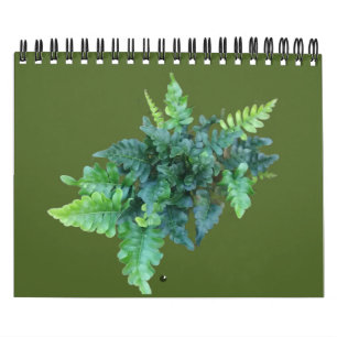 Calendrier Plantes indigènes - Nord-ouest du Pacifique