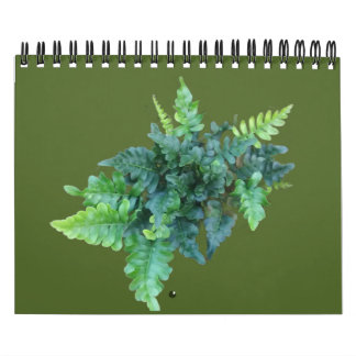 Calendrier Plantes indigènes - Nord-ouest du Pacifique