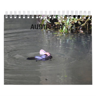 CALENDRIER PLATYPUS AUSTRALIE