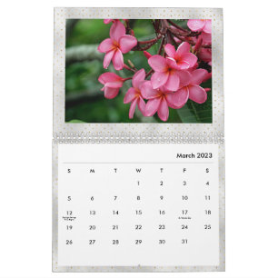 Calendrier Plumeria Fleurs tropicales Photo