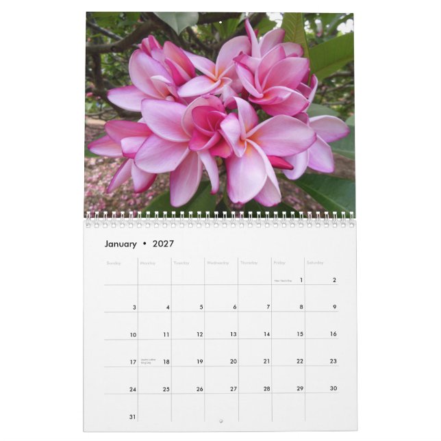 Calendrier Plumerias hawaïens (Jan 2027)