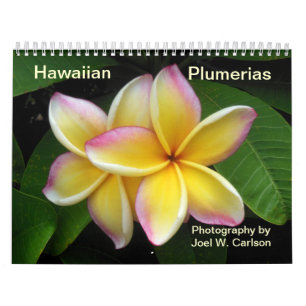 Calendrier Plumerias hawaïens