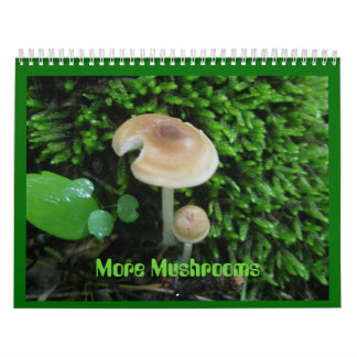 Calendrier - Plus de champignons