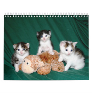 Calendrier Plus de chatons !