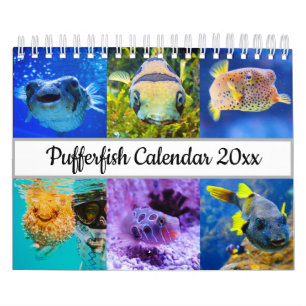 Calendrier Poisson