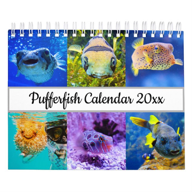 Calendrier Poisson (Protection)