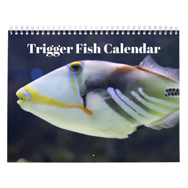 Calendrier Poisson Baliste 2027 (Protection)