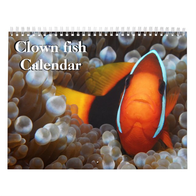 Calendrier Poisson clown 2025 (Protection)