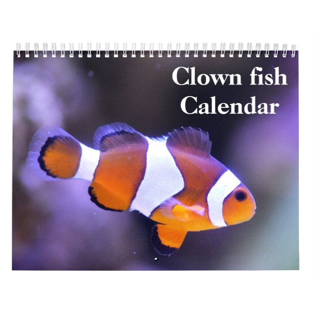 Calendrier Poisson Clown 2027 (Protection)
