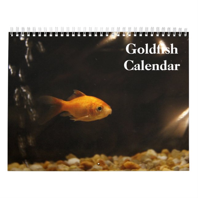 Calendrier Poisson rouge 2025 (Protection)