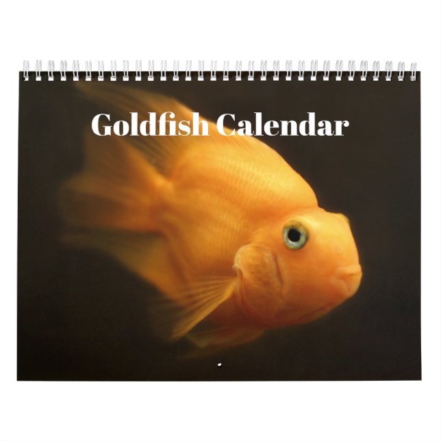 Calendrier Poisson rouge 2027 (Protection)