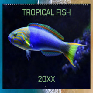Calendrier Poissons tropicaux modifiables