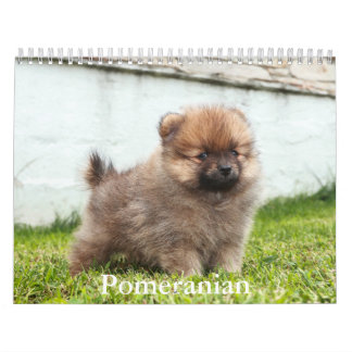 Calendrier Poméranien