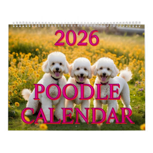 CALENDRIER POODLE 2026