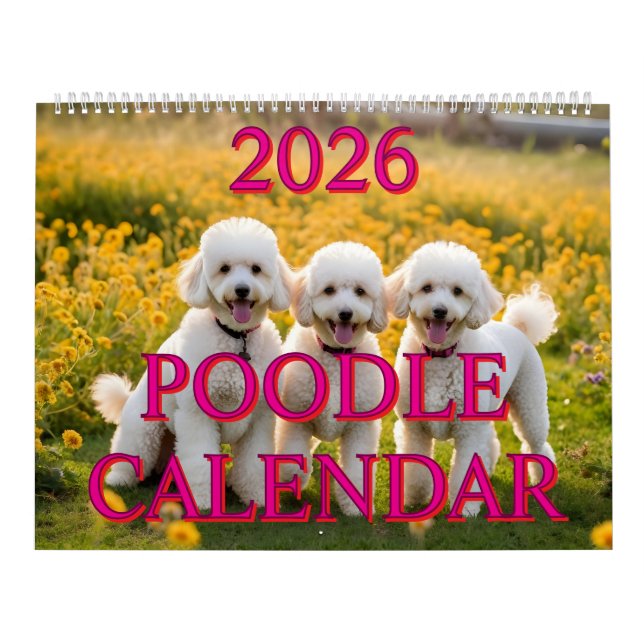 CALENDRIER POODLE 2026 (Protection)