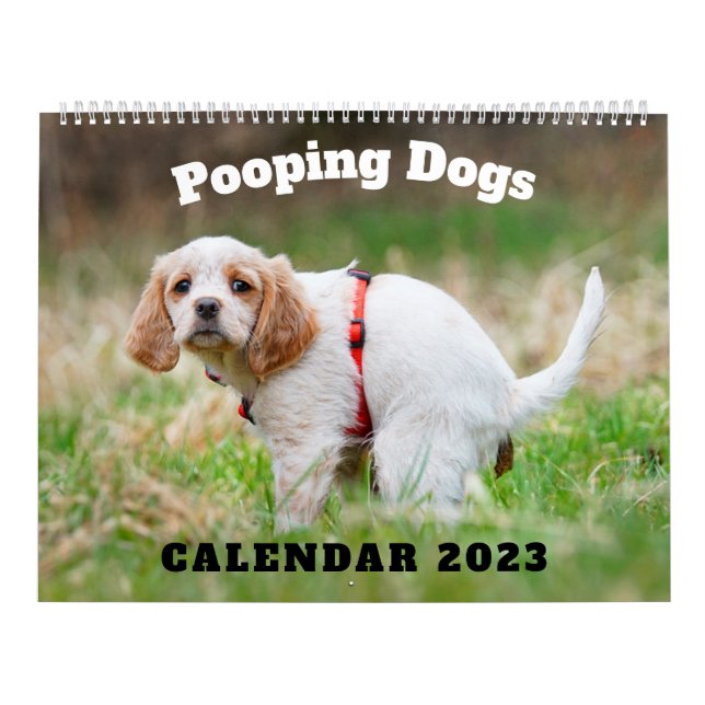 Calendrier Pooping Dogs Calendar 2023, Drôle Chiens (Protection)