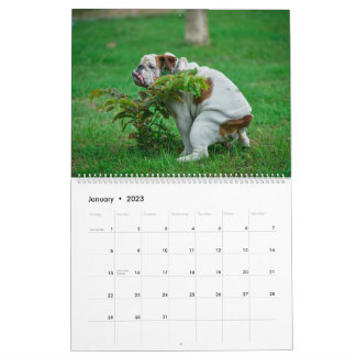 Calendrier Pooping Dogs Calendar 2023, Drôle Chiens