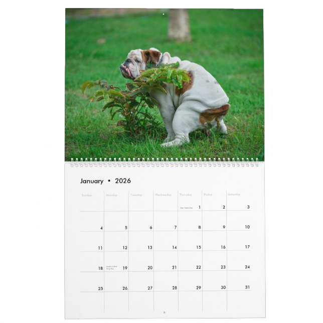 Calendrier Pooping Dogs Calendar 2023, Drôle Chiens (Jan 2026)