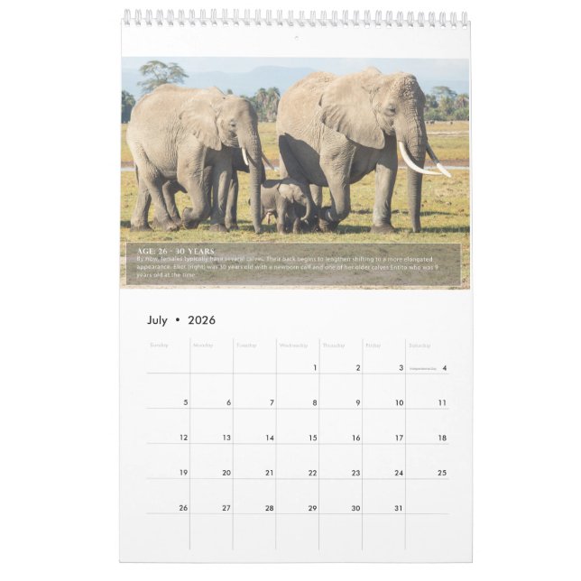 Calendrier Portraits de la vie d'un éléphant (Jul 2026)