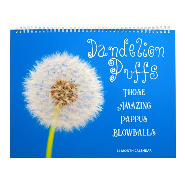 Calendrier Poufs De Dandelion : Ces Boules Extraordinaires De (Protection)