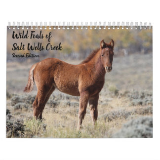 Calendrier Poulains sauvages de Salt Wells Creek